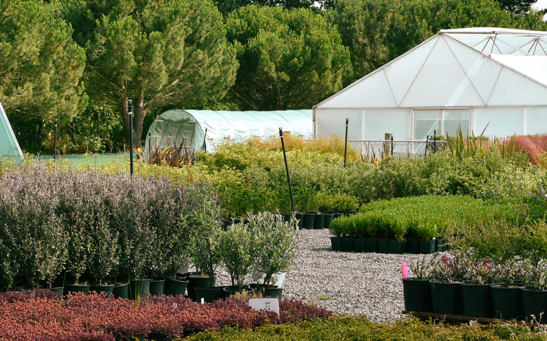 Your Guide to Landscaping in North Canterbury